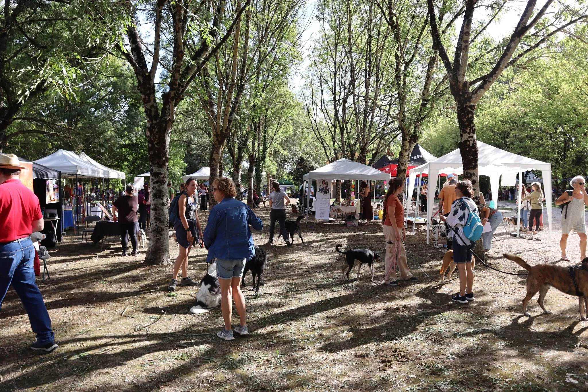 Vue d'ensemble du village exposants, édition 2