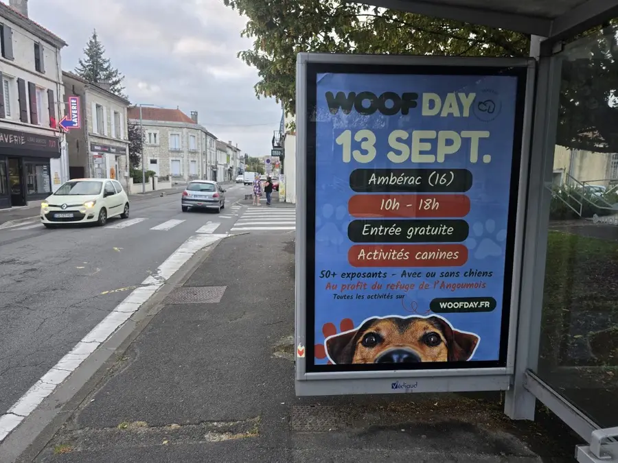 Affiche Woof Day sur un abribus en centre-ville