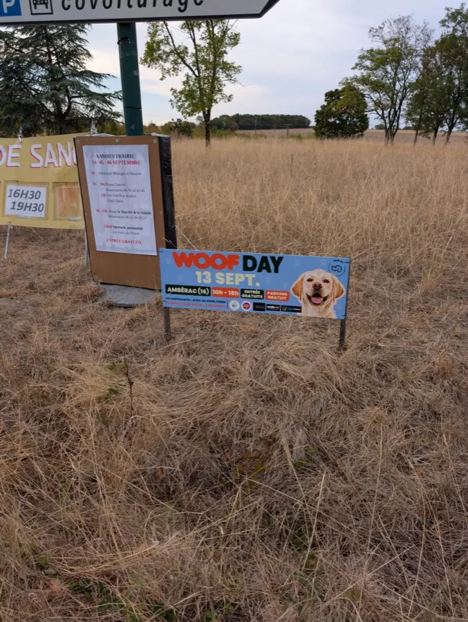 Panneau Woof Day dans un champ, près d'une aire de covoiturage