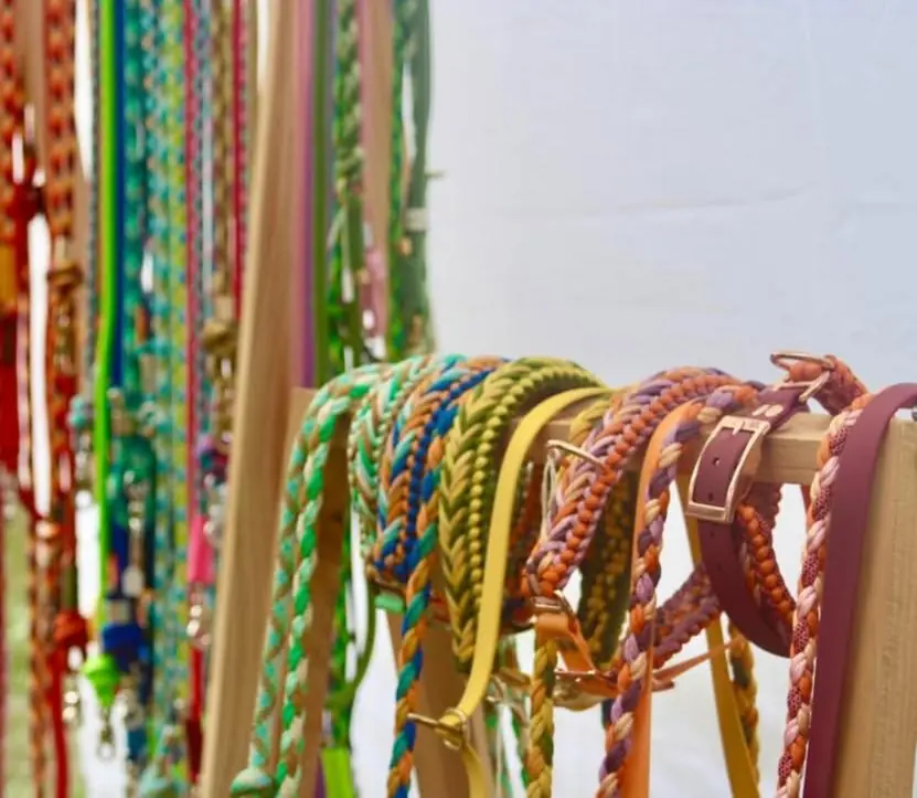 Visiteurs et leurs chiens au Woof Day